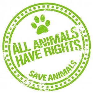 Jr. Animal Activists